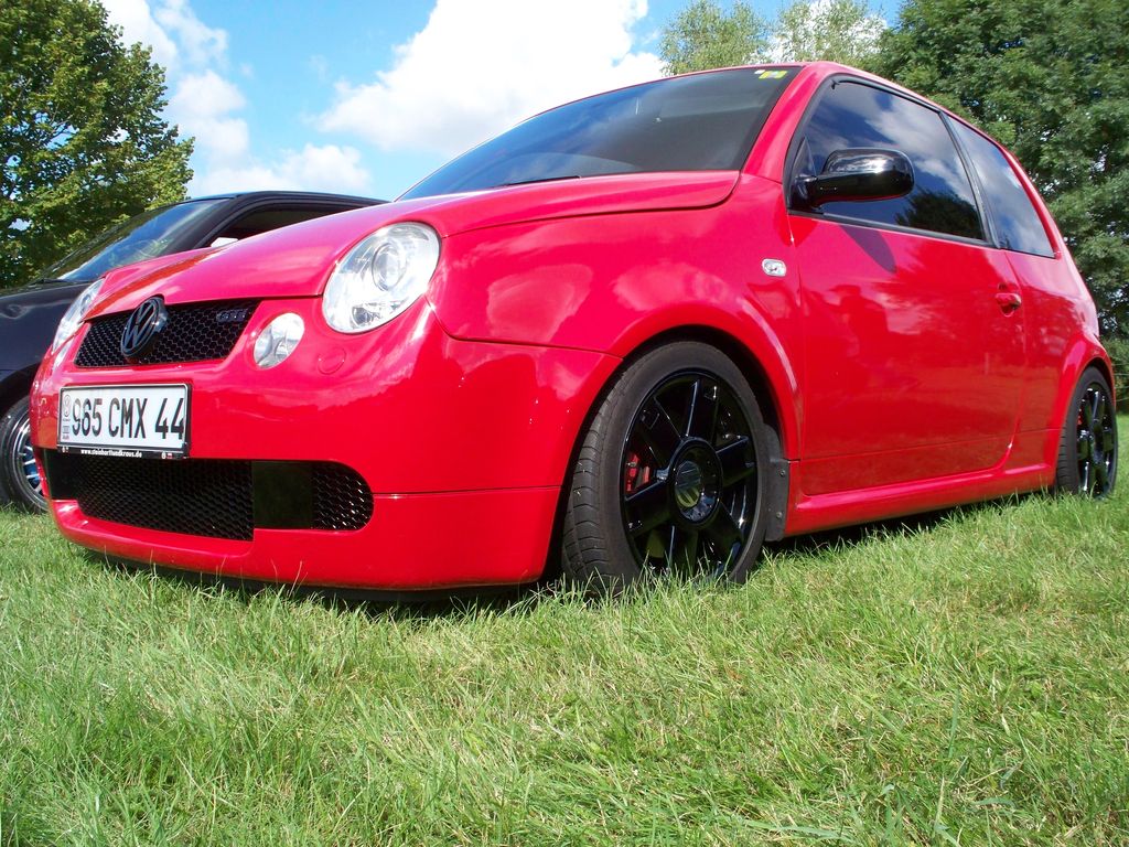 clio